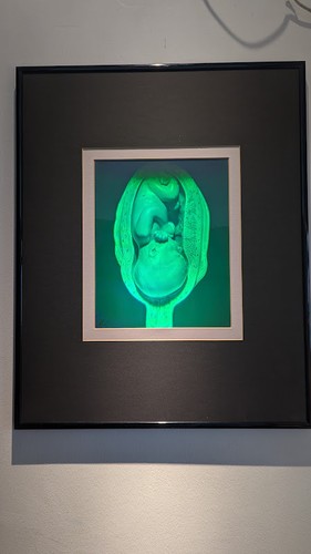Hochwertiges hologramm - hochwertiges,