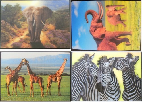 Ansichtskarte elefant - 3d,