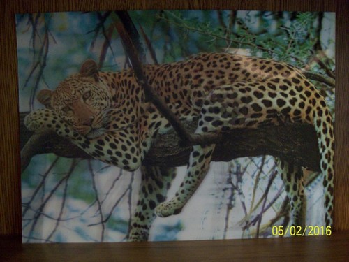 Wackelbild illusion - wackelbild,