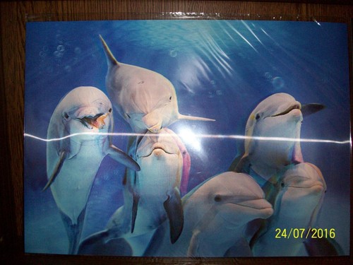 Wackelbild illusion - wackelbild,