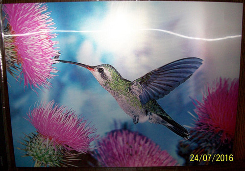 Wackelbild illusion - 3d,