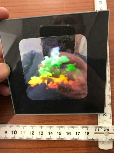 Hologramm bild mit koralle - bild,